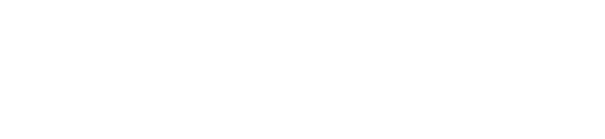 Web漏洞扫描工具软件